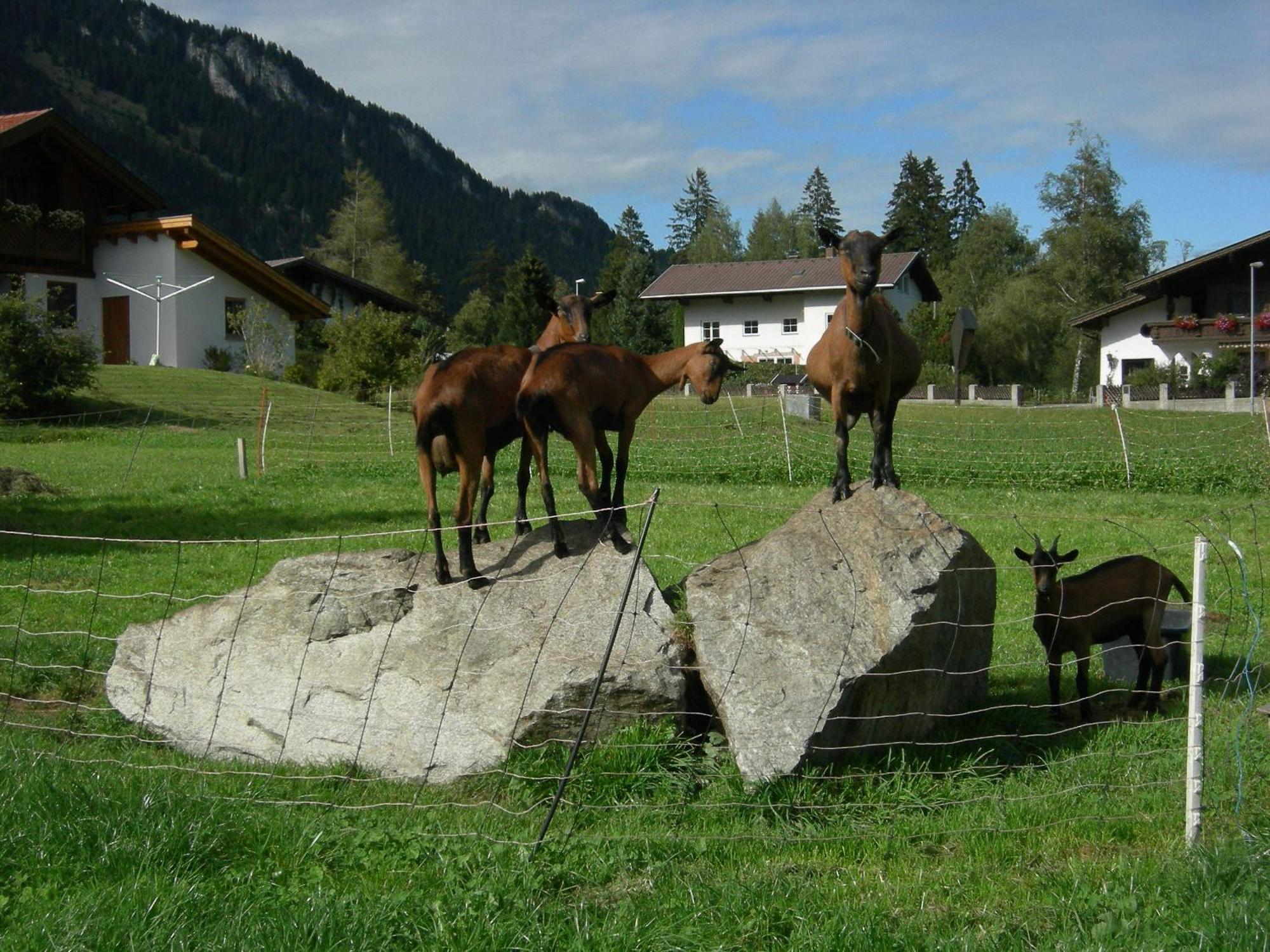 S'Hoamatl Hotell Höfen Exteriör bild